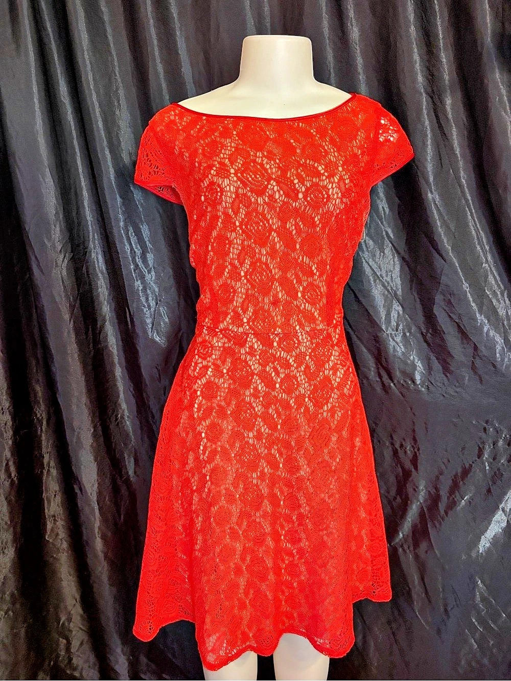 Black Label by Evan-Picone Red Lace Fit and Flare Dress